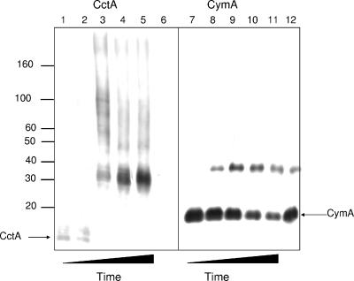 FIG. 10.