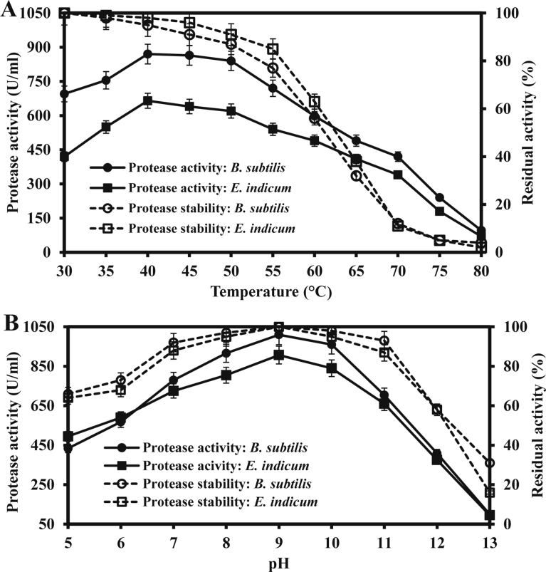 Fig. 8