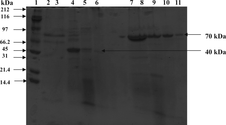 Fig. 7