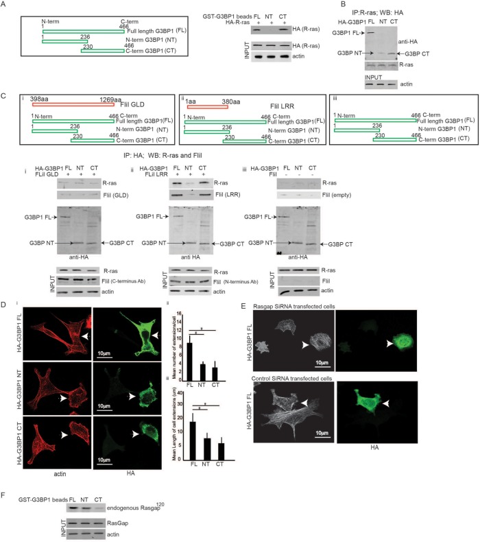 FIGURE 5: