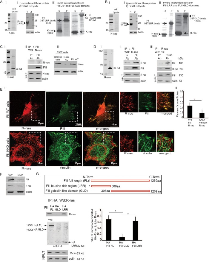 FIGURE 1: