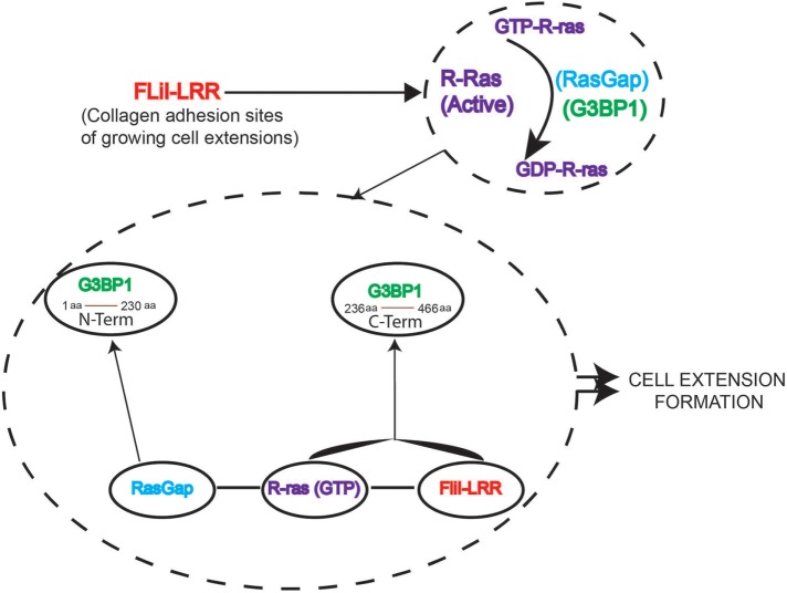 FIGURE 6: