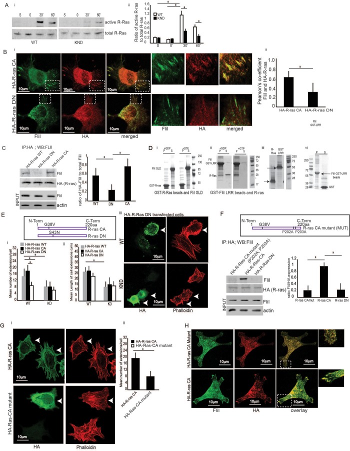 FIGURE 2: