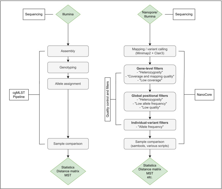 The figure shows a flowchart comparing two outbreak analysis pipelines. One pipeline features Illumina assembly, genotyping, allele assignment, and sample comparison, and the other includes Nanopore/Illumina mapping, variant calling, and various filters.