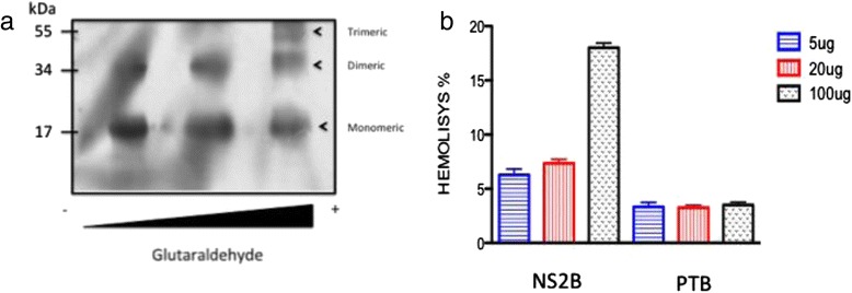 Fig. 6