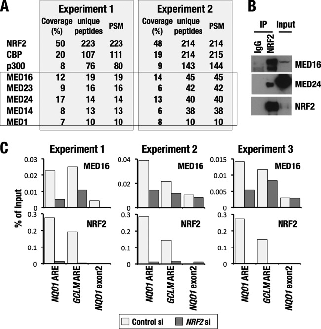 FIG 10