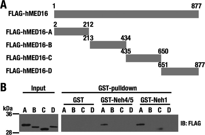 FIG 3