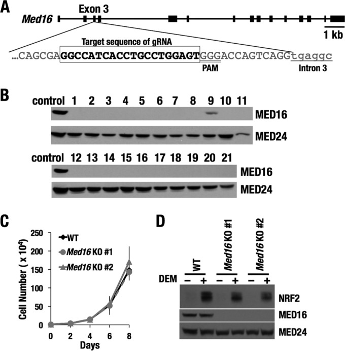 FIG 4