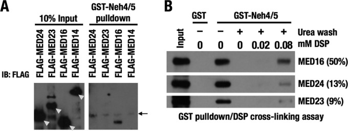 FIG 2