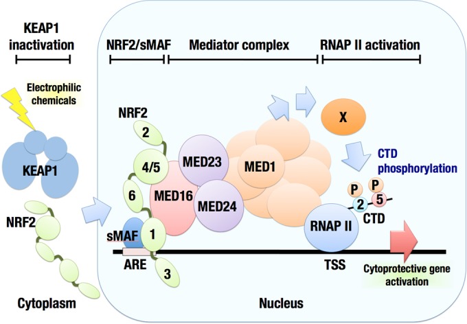 FIG 13