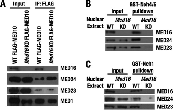 FIG 9