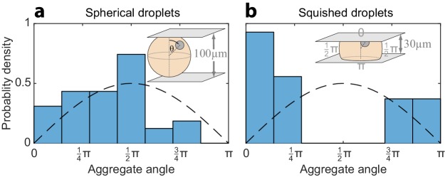 Figure 5—figure supplement 2.