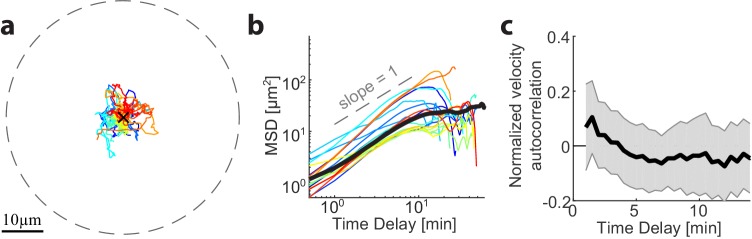 Figure 2—figure supplement 1.