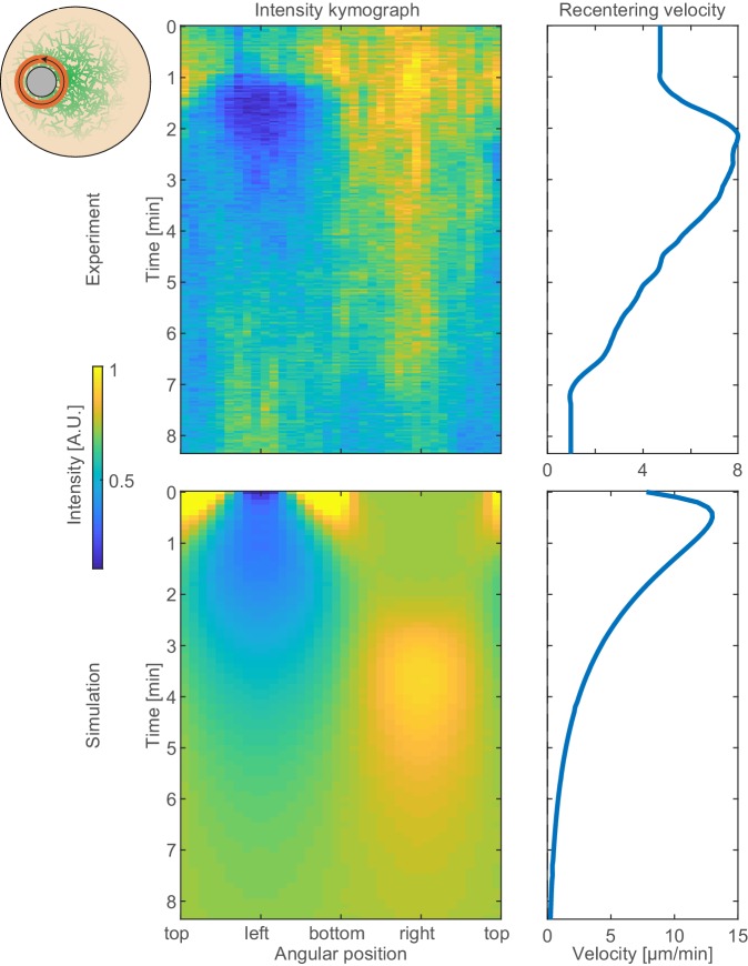 Figure 3—figure supplement 3.