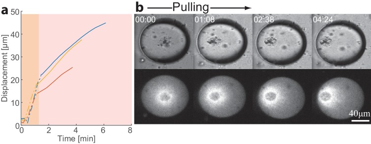 Figure 3—figure supplement 2.