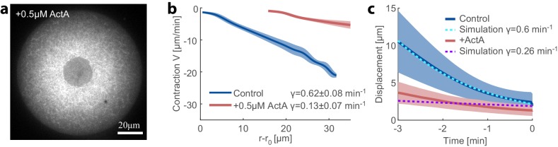 Figure 4—figure supplement 3.