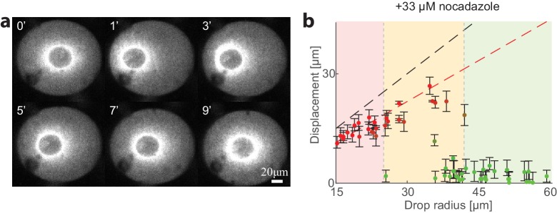 Figure 1—figure supplement 1.