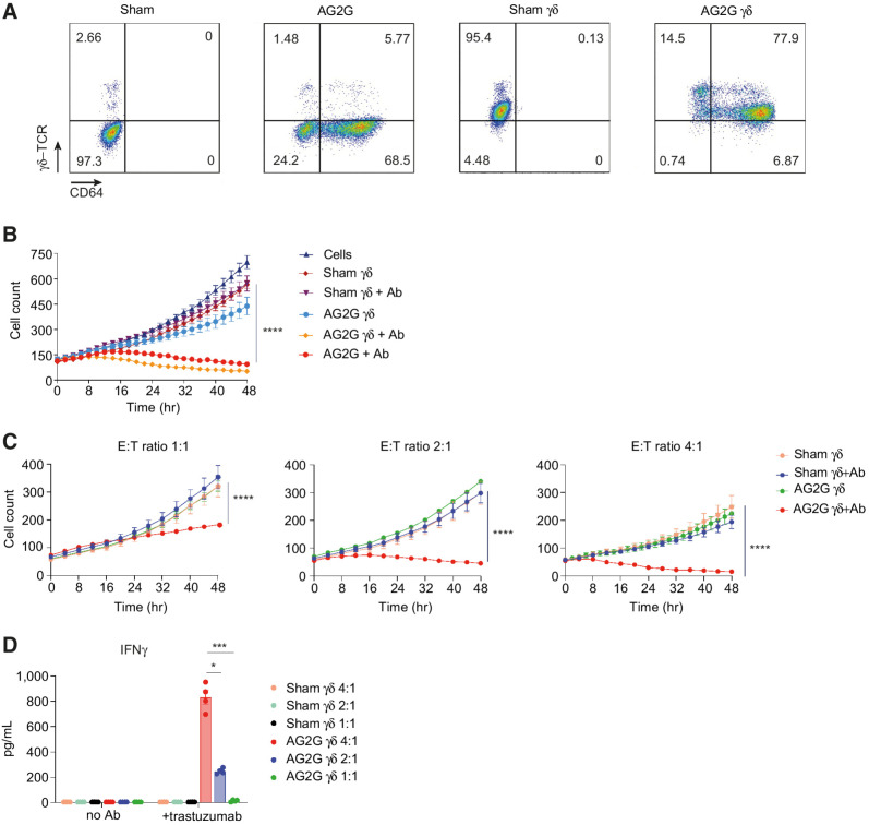 Figure 7. Retroviral transduction of γδ-T cells with AG2G endows them with antitumor ADCC. A, Flow cytometry analysis of sham or AG2G-transduced αβ-T cells (two left panels, activated with IL2 and anti-CD3); sham or AG2G-transduced γδ-T cells (two right panels, activated with IL2 and zoledronic acid). B, Live cell numbers of HT29-HER2 expressing cells, calculated by incuCyte software, cocultured with AG2G-expressing γδ-T cells or AG2G-expressing αβ-T cells, with or without trastuzumab (n = 3). C, Live cell numbers of HT29-HER2 expressing cells, calculated by incuCyte software, cocultured with sham untransduced or AG2G-expressing γδ-T cells with or without trastuzumab, in E:T ratios of 1:1, 2:1 or 4:1 (n = 4). D, ELISA measurement of IFNγ levels in supernatants of 48-hour sham or AG2G-expressing γδ-T cells cocultured with HT29-HER2 expressing cells, with or without trastuzumab (E:T ratio 4:1, n = 3). Graphs show mean ±SD. Statistical significance was calculated using two-way ANOVA with Tukey's correction for multiple comparisons for B and C. Two-way ANOVA with Sidak correction for multiple comparisons for D. *, P < 0.05; **, P < 0.01; ****, P < 0.0001. Error bars represent standard error.