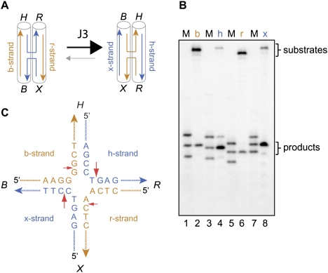 Figure 3.