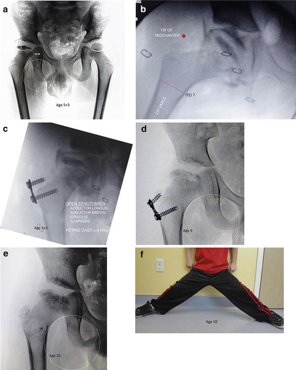 Fig. 1