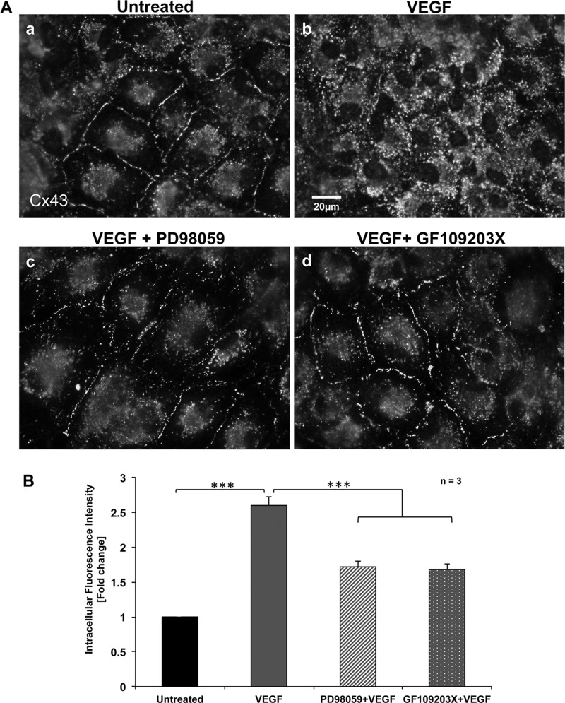 FIGURE 3: