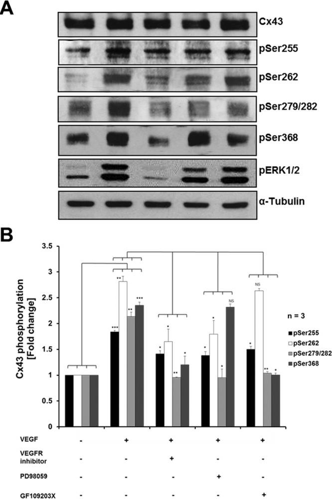 FIGURE 6: