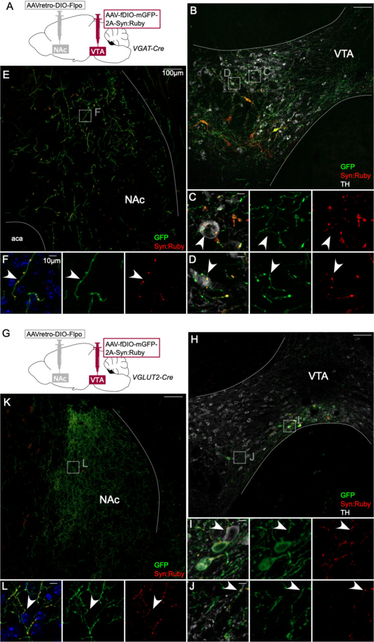 Figure 4: