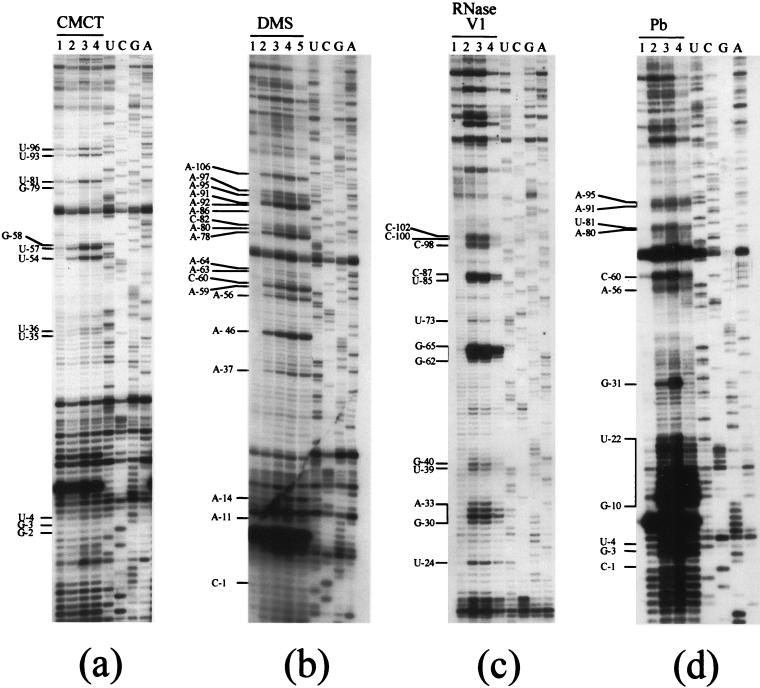 FIG. 4.