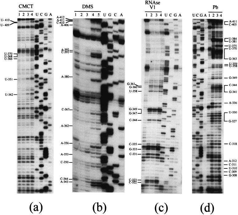 FIG. 6.