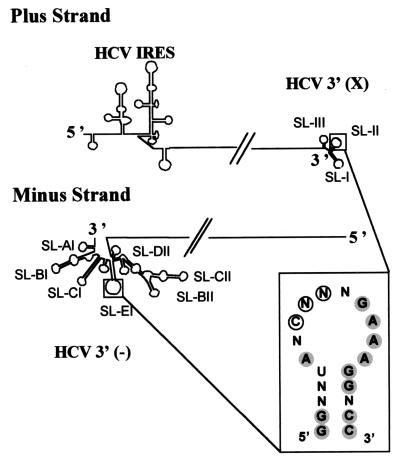 FIG. 7.