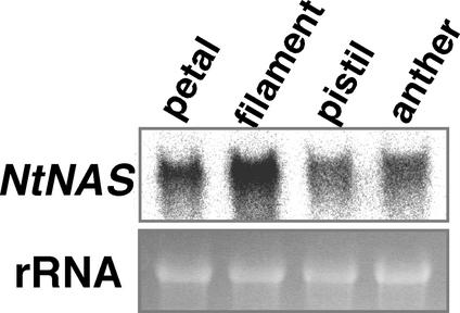 Figure 12.