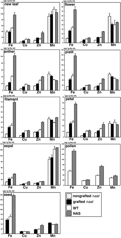 Figure 11.