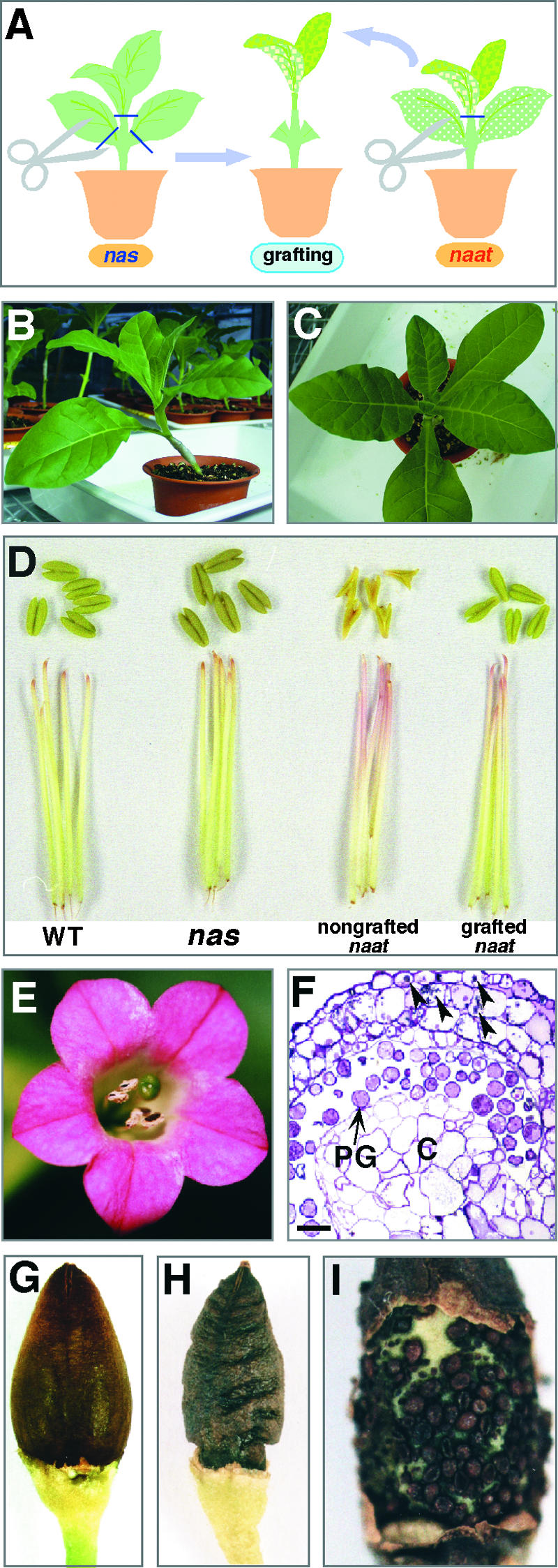 Figure 10.