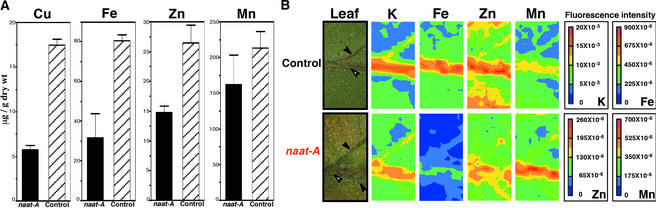 Figure 4.