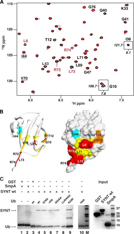 FIGURE 3.