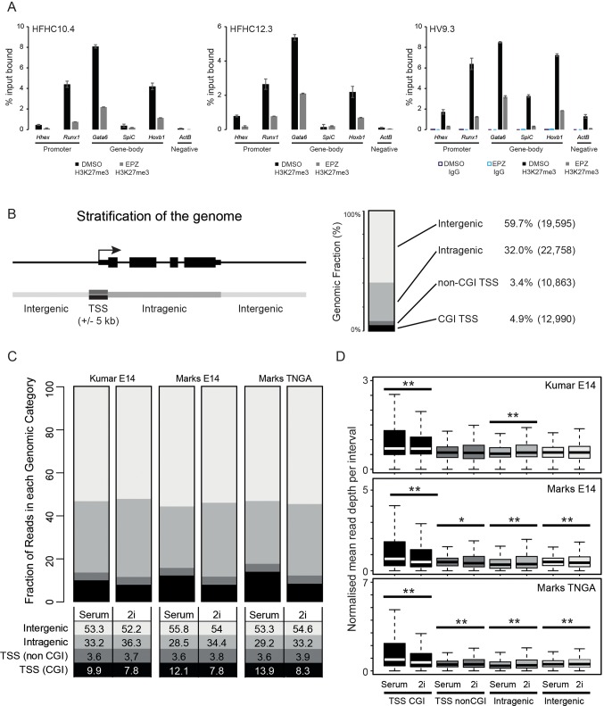 Figure 4—figure supplement 1.