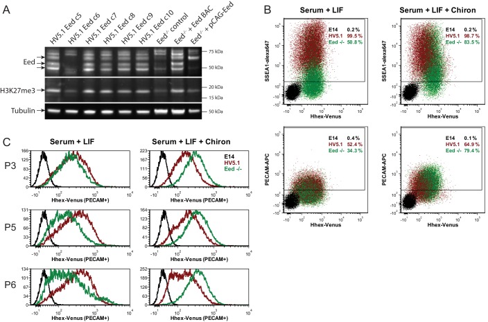 Figure 3—figure supplement 2.