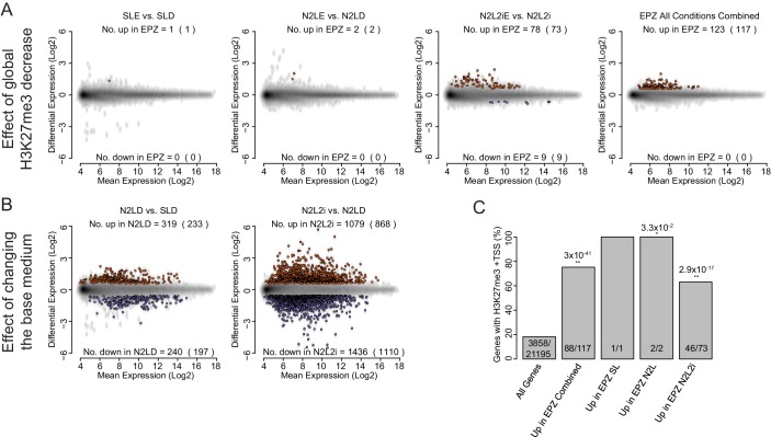 Figure 4—figure supplement 2.