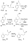 Scheme 3
