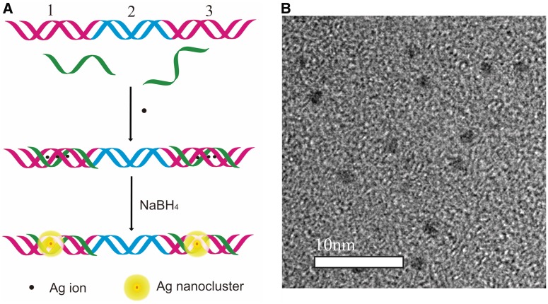 Figure 4.