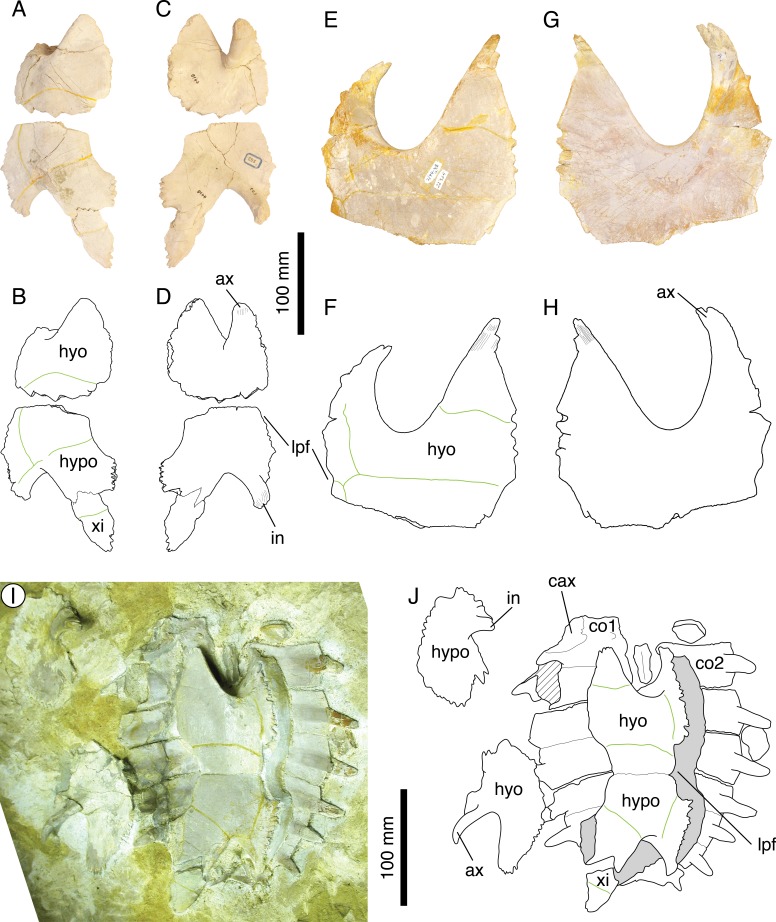 Figure 9