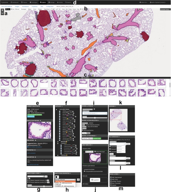 Fig. 2.