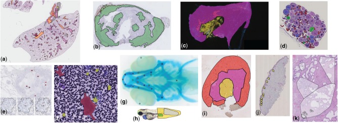 Fig. 3.