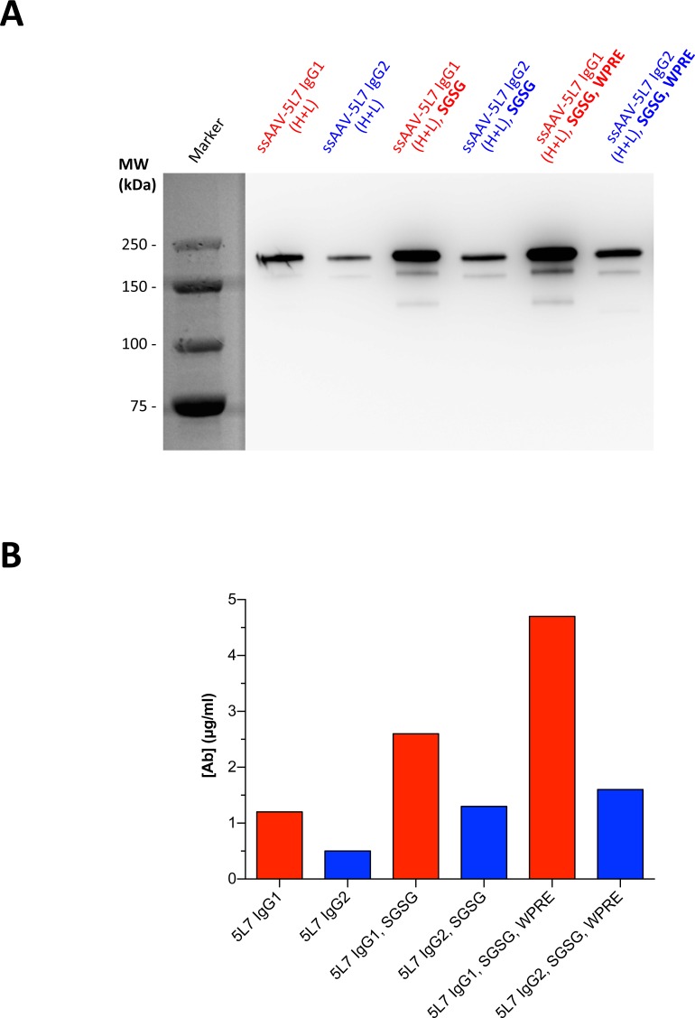 Fig 5