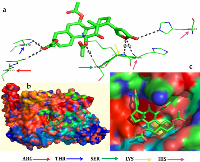 Figure 10