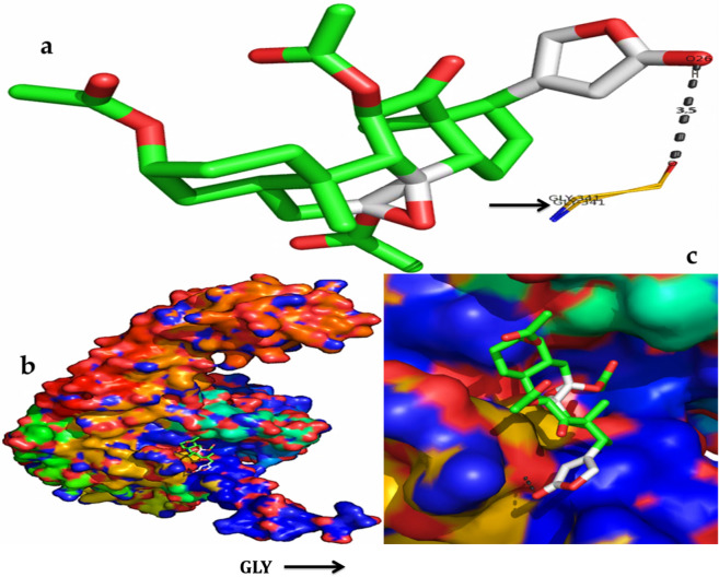 Figure 9