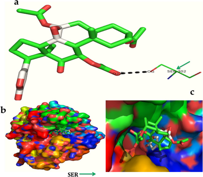 Figure 13