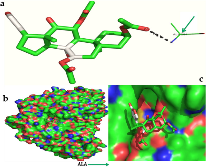 Figure 14