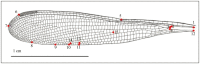 Fig. 3.