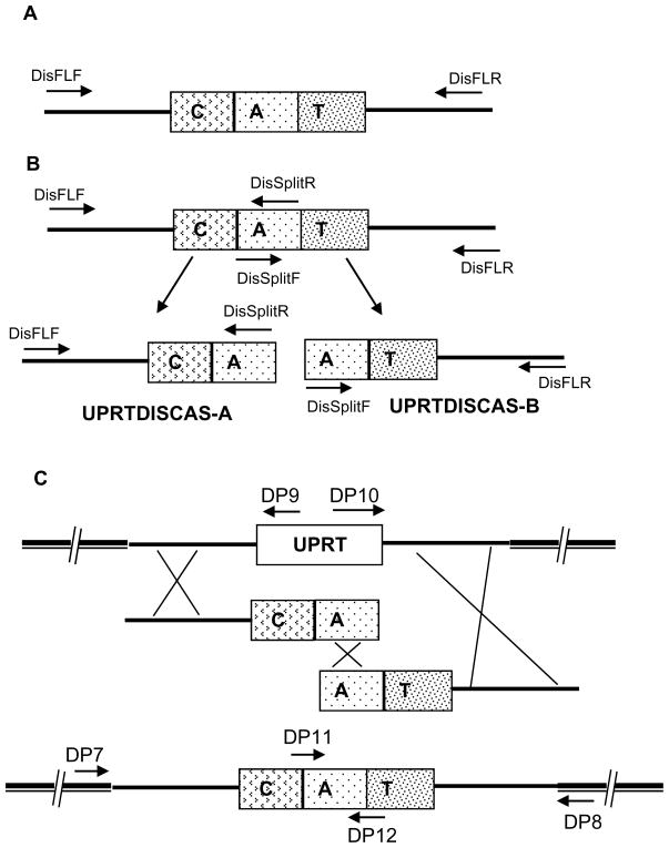 Figure 6